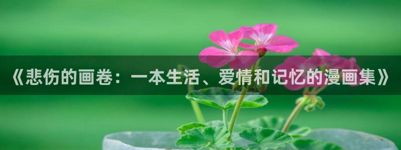 韩漫汗汗漫画：《悲伤的画卷：一本生活、爱情和记忆的漫画集》