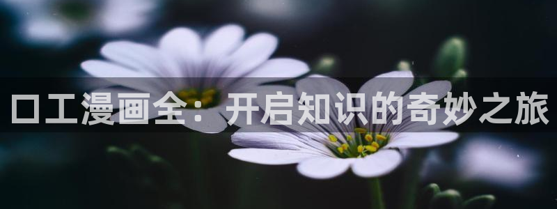 汗汗漫画土豪：口工漫画全：开启知识的奇妙之旅