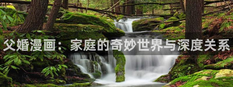 汗汗漫画在线漫画：父婚漫画：家庭的奇妙世界与深度关系