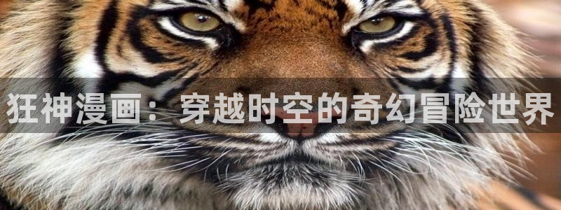 汗汗漫画下拉式漫画官网：狂神漫画：穿越时空的奇幻冒险世界