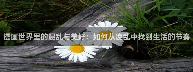 汗汗漫画av：漫画世界里的混乱与美好：如何从凌乱中找到生活的节奏