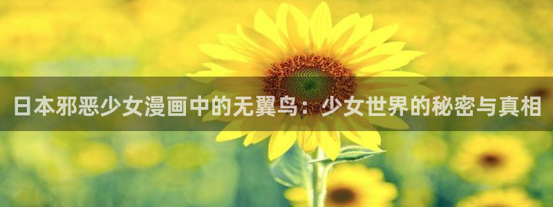 汗汗漫画好看的韩国漫画：日本邪恶少女漫画中的无翼鸟：少女世界的秘密与真相