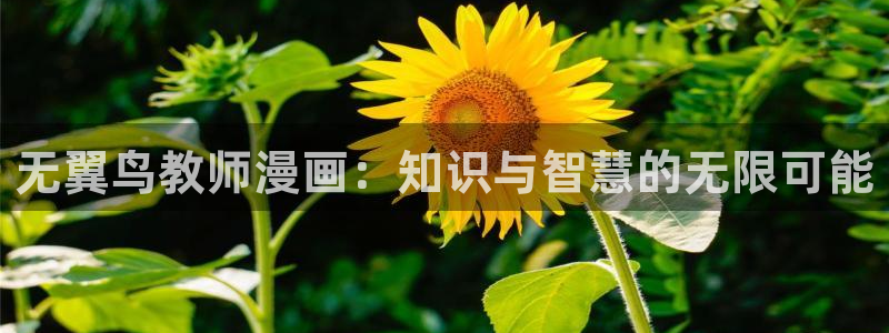 汗汗漫画韩漫漫画：无翼鸟教师漫画：知识与智慧的无限可能